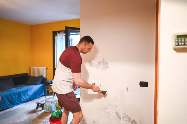 Best Mold Inspection  in Menifee, CA
